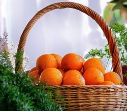 Quelles corbeilles de fruits choisir pour des oranges?
