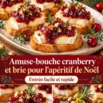 Amuse-bouche à base de cranberry et brie décoré pour Noël